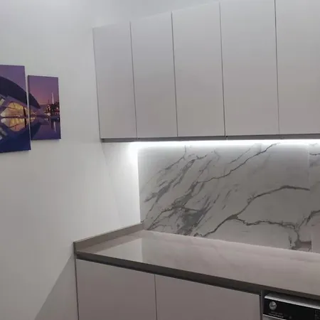 Apartment 4 2 Banos Ciudad De Ciencias Vt-55209-v Valencia
